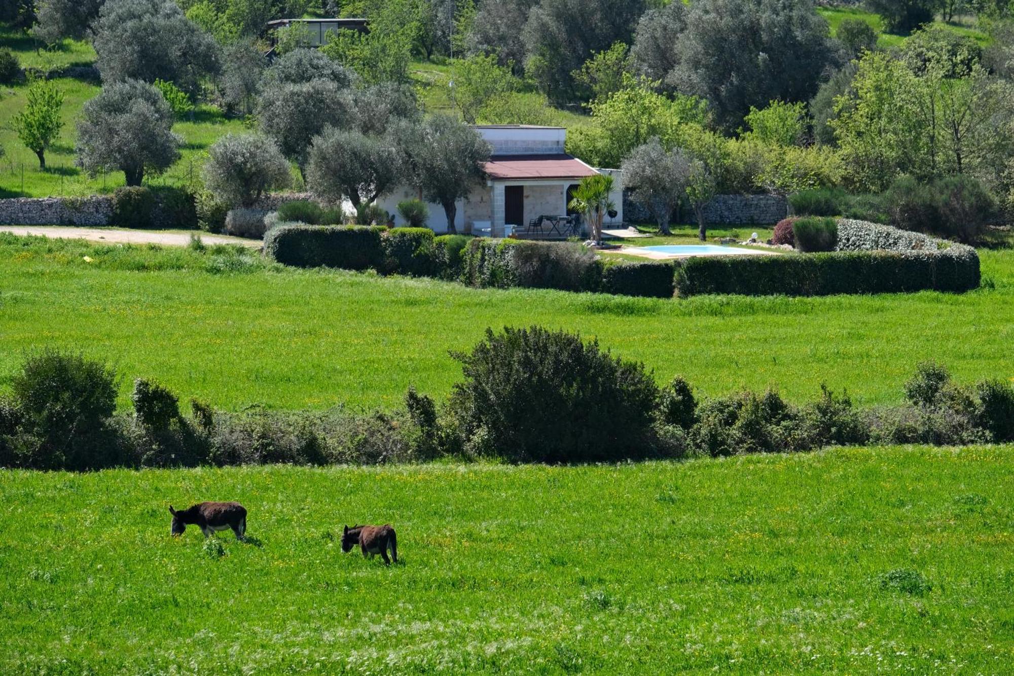 Terra Sessana Ville E Trullo Con Piscina Privata Ostuni Εξωτερικό φωτογραφία